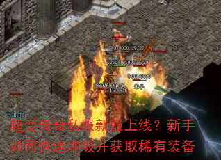 ���䴫��˽���·����ߣ�������ο��ٳ弶����ȡϡ��װ��