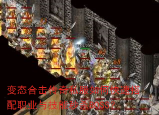 ��̬�ϻ�����˽����ο��ٴ���ְҵ�뼼����ɱBOSS��