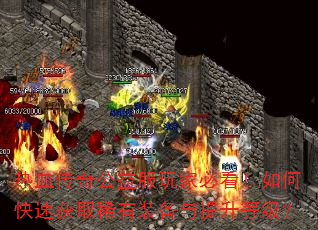 ��Ѫ���湫�����ұؿ�����ο��ٻ�ȡϡ��װ���������ȼ���