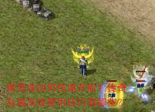 ��������ο��ٳ��ܣ�����˽����Чʹ�ü�������Щ��