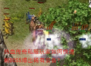 ��Ѫ����˽�������ο���ˢBOSS����ϡ��װ����