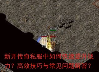 �¿�����˽������ο�������ս������Ч�����볣��������