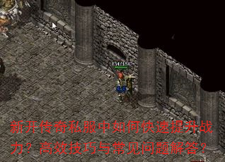 �¿�����˽������ο�������ս������Ч�����볣��������