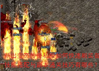 �³���̬����˽����ο���ˢװ�������ܴ����븱��ͨ�ؼ�������Щ��