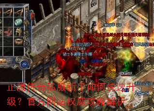 ���洫��˽��������ο����������ٷ���վȨ�����Խ���