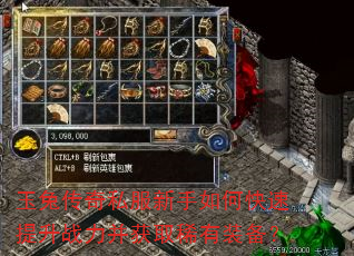 ���ô���˽��������ο�������ս������ȡϡ��װ����