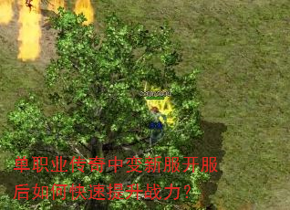 ��ְҵ�����б��·���������ο�������ս����