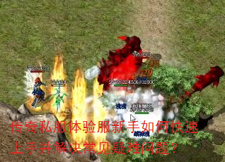 ����˽�������������ο������ֲ���������������⣿