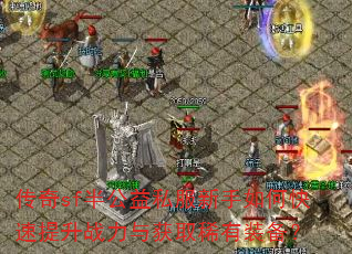 ����sf�빫��˽��������ο�������ս�����ȡϡ��װ����