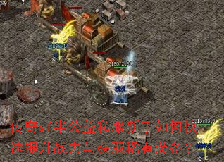 ����sf�빫��˽��������ο�������ս�����ȡϡ��װ����