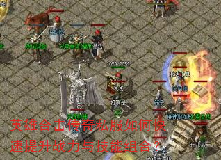 Ӣ�ۺϻ�����˽����ο�������ս���뼼����ϣ�