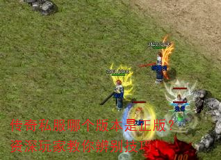 ����˽���ĸ��汾�����棿������ҽ������ɣ�