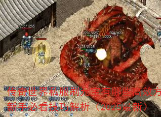 ��������˽��ˢԪ������Щ��Ч���������ֱؿ����ɽ�����2025���£�