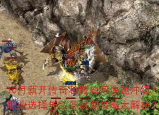 10���¿�����˽����ο��ٳ弶��ְҵѡ����װ����ȡ���Դ������