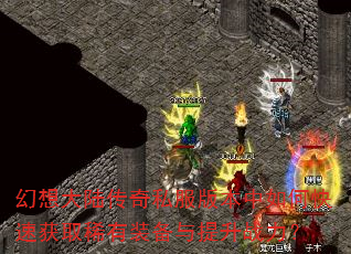 �����½����˽���汾����ο��ٻ�ȡϡ��װ��������ս����