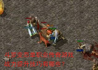 ���ޱ�̬��ְҵ������Ϸս��������������Щ��