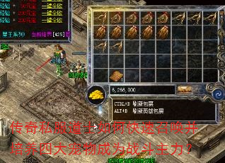 ����˽����ʿ��ο����ٻ��������Ĵ�����Ϊս��������