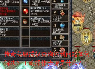 ����˽����Ȩ��ѯ����������ν������ȷ����������ʲô��