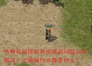 ����˽����Ȩ��ѯ����������ν������ȷ����������ʲô��