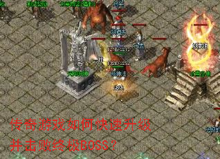 ������Ϸ��ο��������������ռ�BOSS��