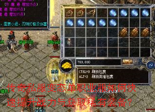 ����˽����̬��ְҵ����ο�������ս�����ȡϡ��װ����