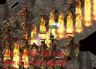 ����1���¿�sf������ο������ֲ��ư�ȫ����