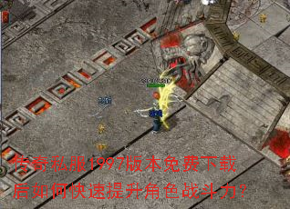 ����˽��1997�汾������غ���ο���������ɫս������