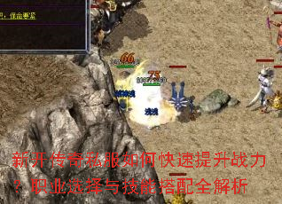 �¿�����˽����ο�������ս����ְҵѡ���뼼�ܴ���ȫ����