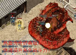 ��Ѫ���澭��汾����ο���������ɫս������