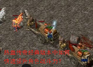 ��Ѫ���澭��汾����ο���������ɫս������