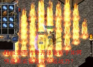 ������̬���濪����������ο���ˢװ����ȡ����ս����