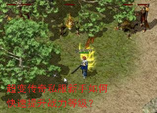 ���䴫��˽��������ο�������ս���ȼ���