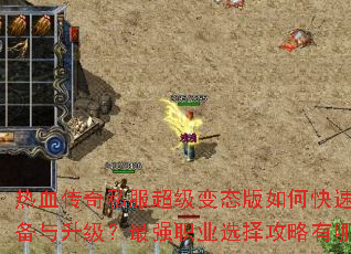 ��Ѫ����˽��������̬����ο���ˢװ������������ǿְҵѡ��������Щ��