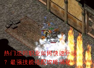 ���ŷ�ʦְҵ��ο�����������ǿ���ܴ��乥�Խ���