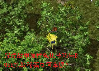 �Ի�ս������ǿ��������BOSS��ս�ؼ�������գ�