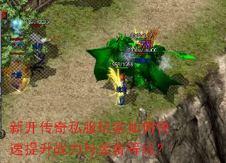 �¿�����˽�������ο�������ս����װ���ȼ���