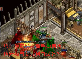 ��Ѫ����˽��������ο����������ȡϡ��װ����