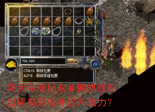 ����˽�������ο���ˢ��ϡ��װ��������ս����