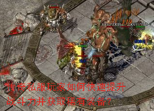 ����˽�������ο�������ս��������ȡϡ��װ����