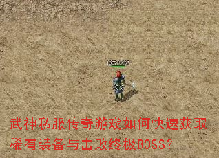 ����˽��������Ϸ��ο��ٻ�ȡϡ��װ��������ռ�BOSS��