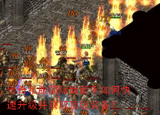 ����˽�����ʰ�������ο�����������ȡ����װ����