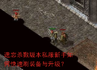 ����ɱ¾�汾˽��������ο���ˢװ����������