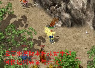 ����ɱ¾�汾˽��������ο���ˢװ����������