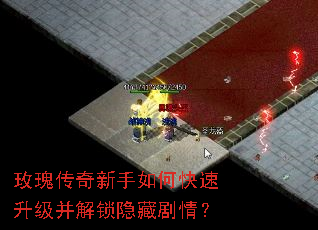 õ�崫��������ο����������������ؾ��飿