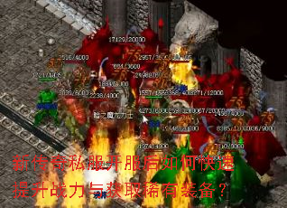 �´���˽����������ο�������ս�����ȡϡ��װ����