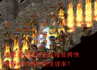 ��ְҵ���ٴ���˽����ο�������������ˢ��Ч�ʣ�