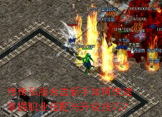 ����˽���ϻ�������ο�������ְҵ�������������ɣ�