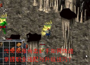 ����˽���ϻ�������ο�������ְҵ�������������ɣ�