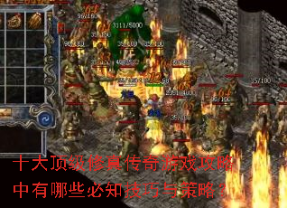 ʮ�󶥼����洫����Ϸ����������Щ��֪��������ԣ�