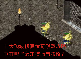 ʮ�󶥼����洫����Ϸ����������Щ��֪��������ԣ�